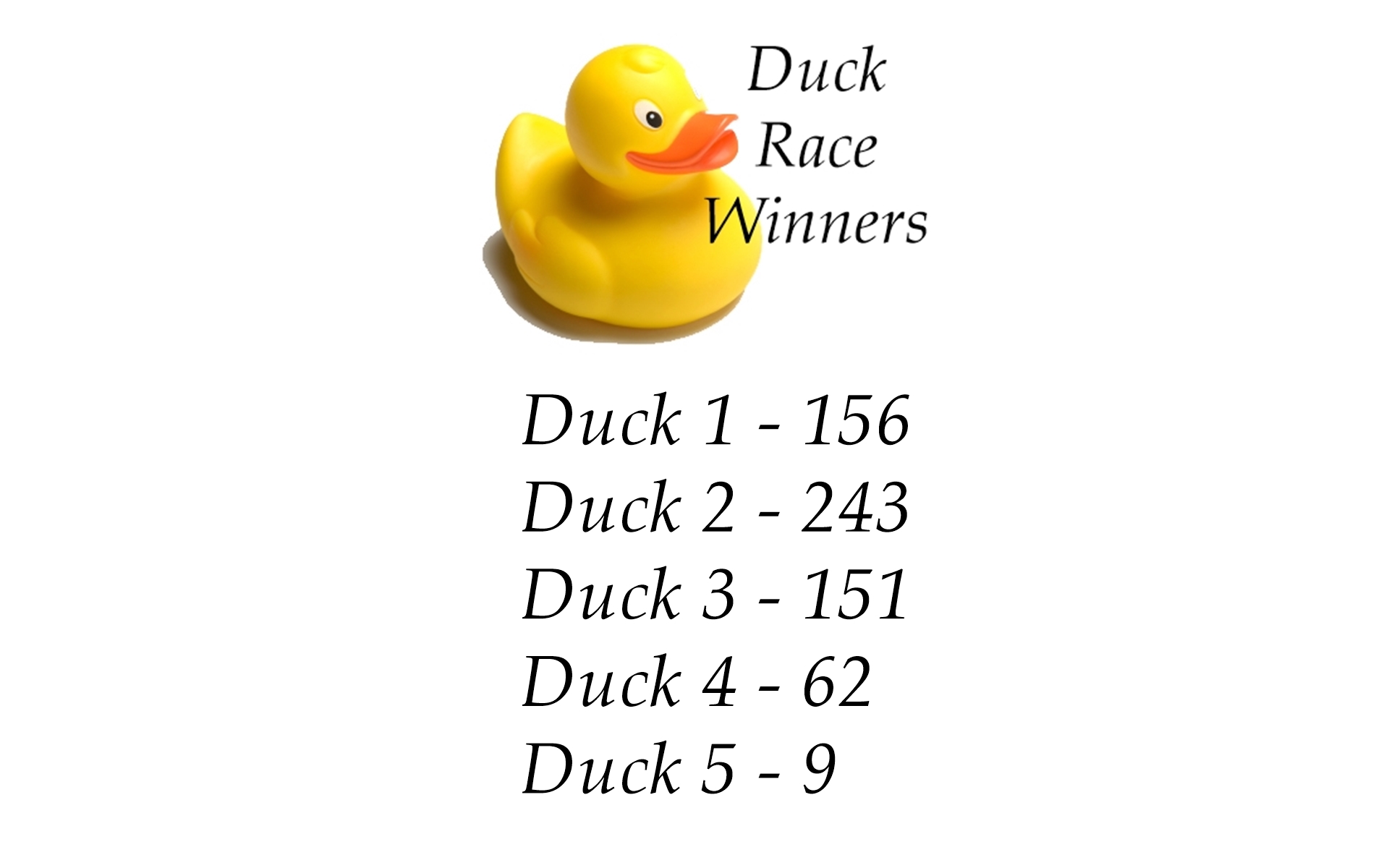 duck race winners